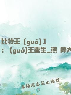比特王國(guó)Ⅰ: 國(guó)王重生